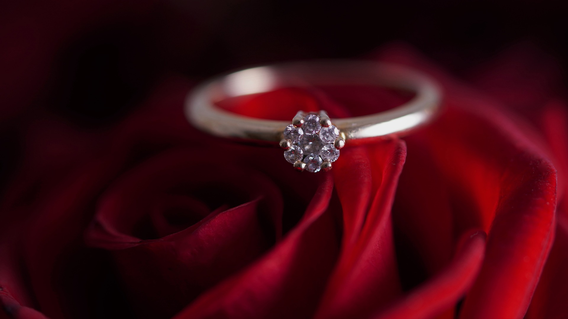 Le solitaire, un anneau surmonté d'un diamant pour une demande en mariage magique