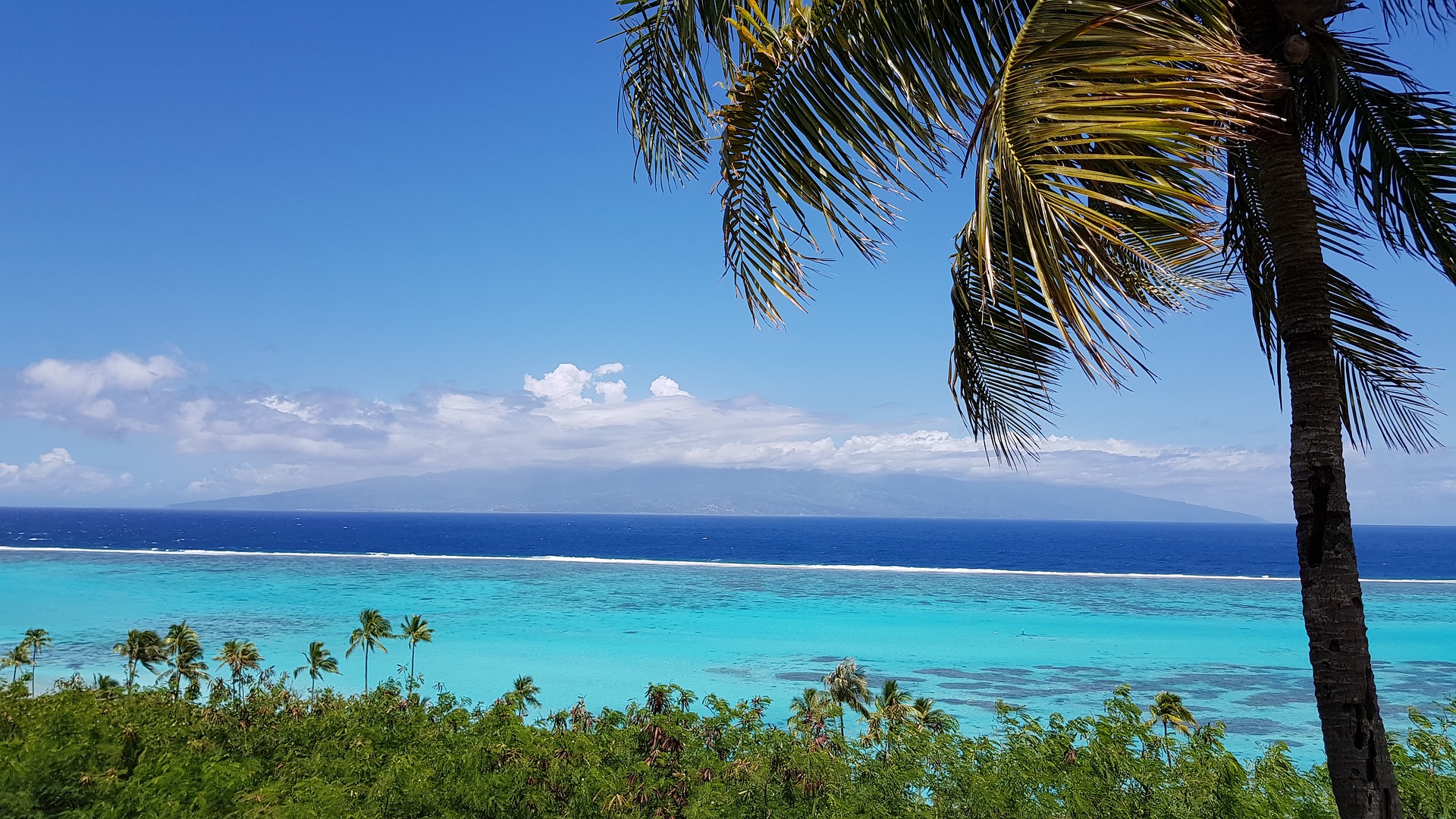 Voyage Tahiti : quand partir pour la perle du Pacifique ?