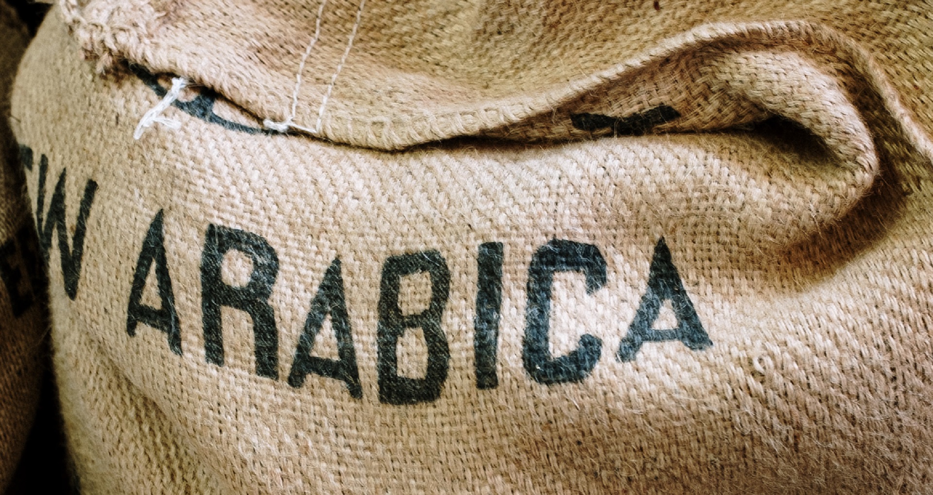 Arabica, une variété de grains très appréciés des amateurs de caféine