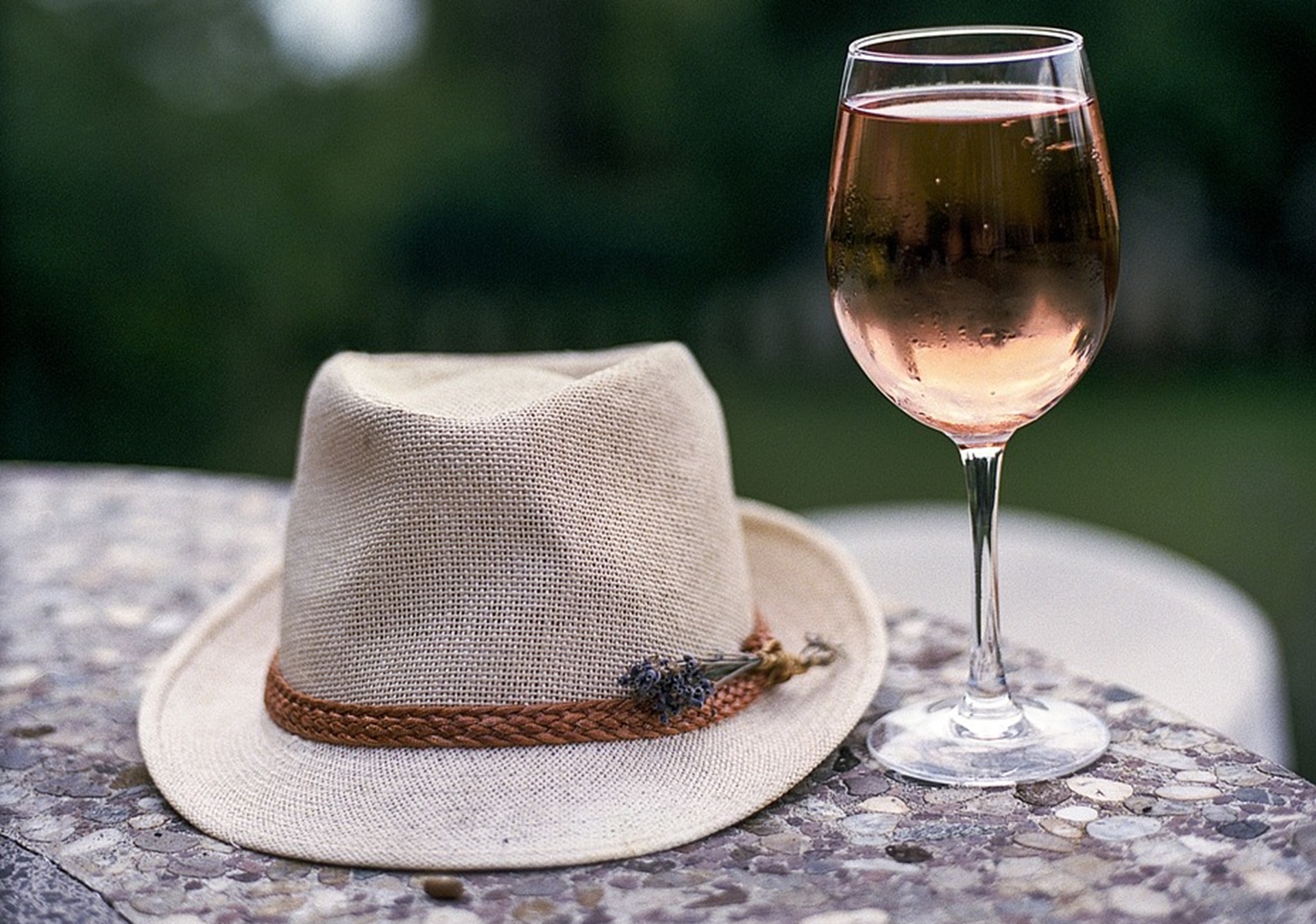 Vin rosé de Provence : pourquoi les gens l'aiment tant ?