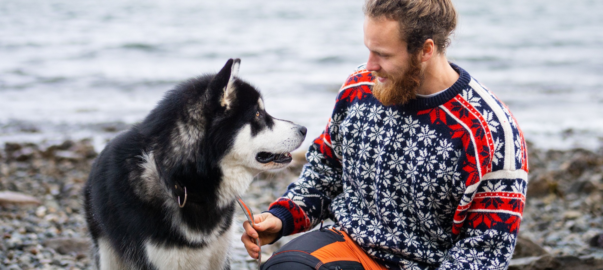 Pull norvégien homme