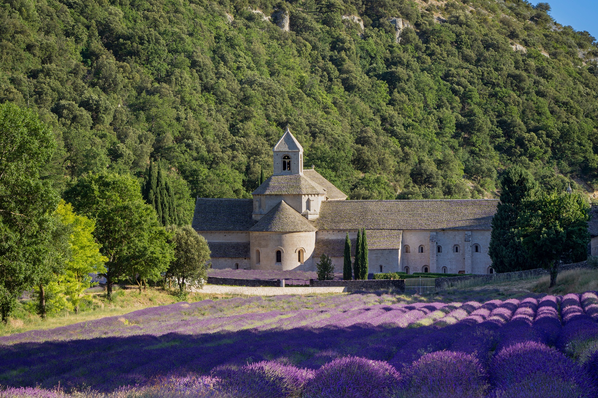 Abbaye de Senanque près de Gordes