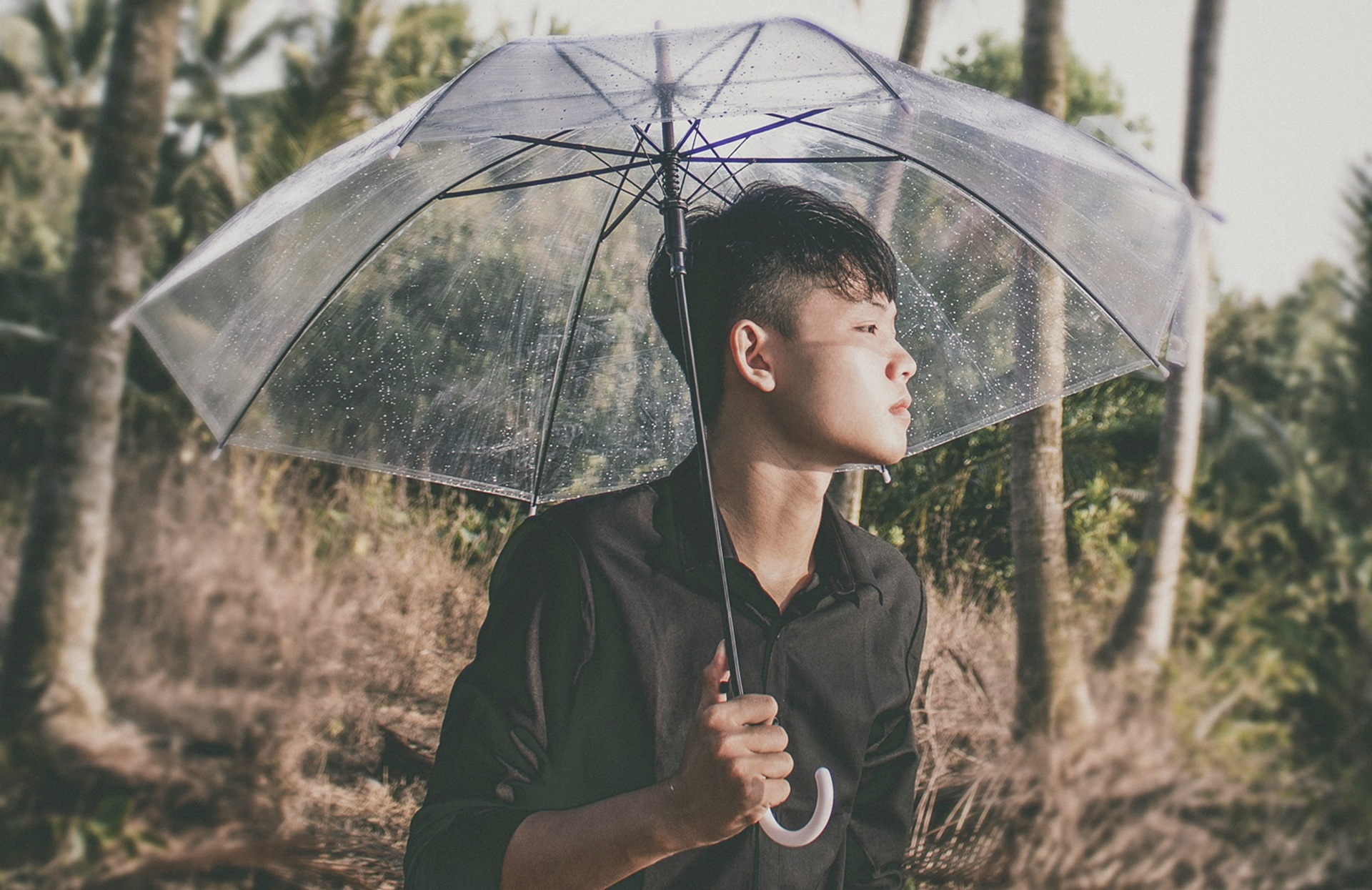 Parapluie transparent, 107 cm